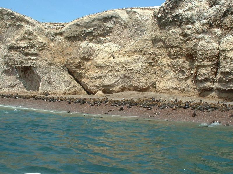 Islas Ballestas, PERU