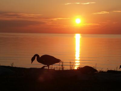 Early morning lake shot