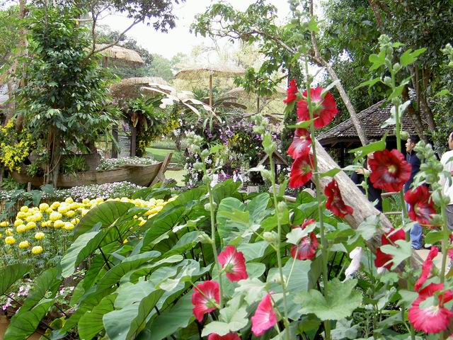 PICT1545.JPG