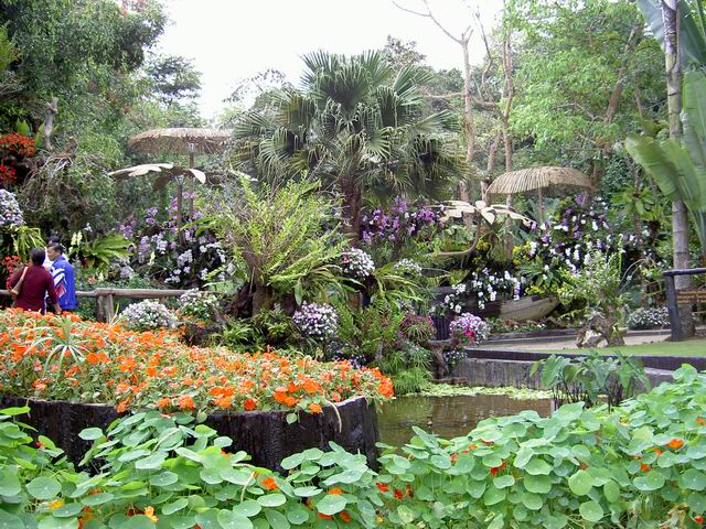 PICT1565.JPG