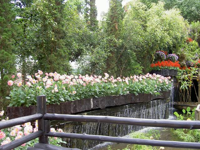 PICT1568.JPG
