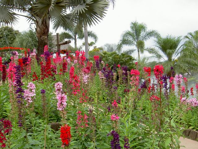 PICT1641.JPG