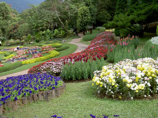 PICT1719.JPG