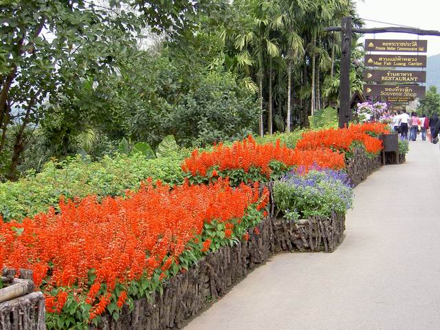 PICT1882.JPG