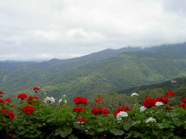 PICT1757.JPG
