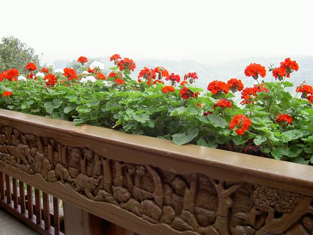PICT1763.JPG