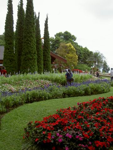 PICT1773.JPG