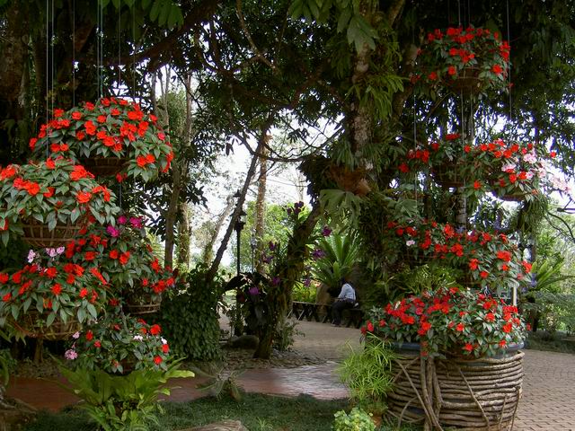 PICT1824.JPG