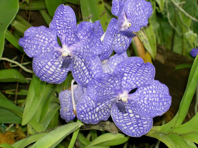 PICT1831.JPG