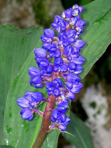 PICT1833.JPG