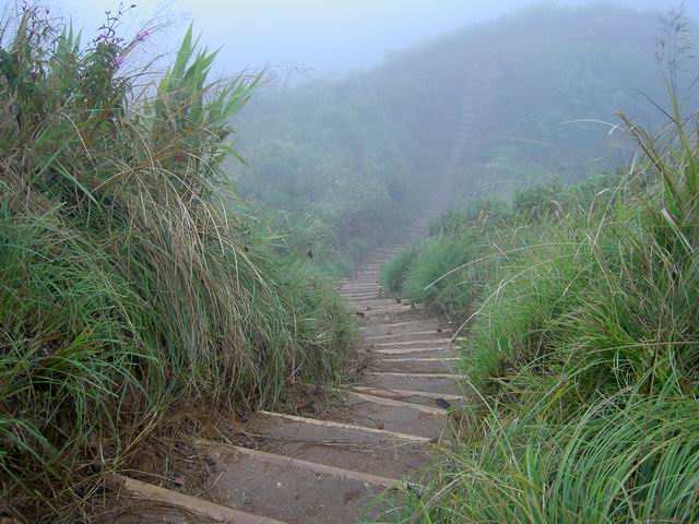 PICT1132.JPG