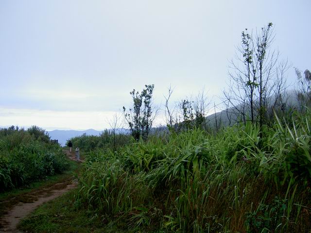 PICT1143.JPG