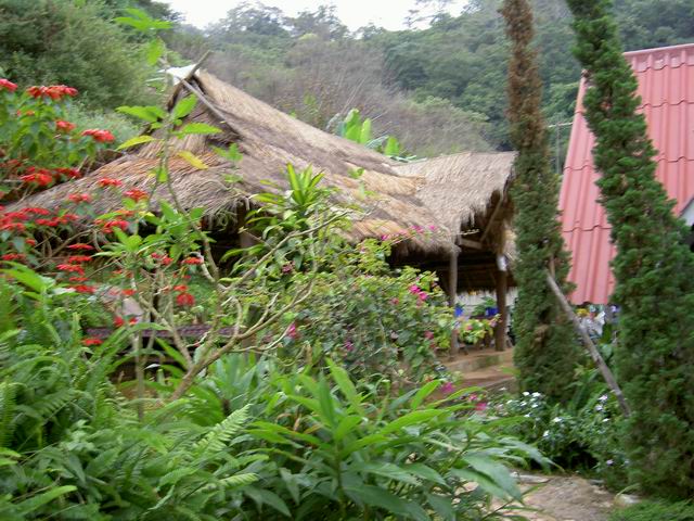 PICT1191.JPG
