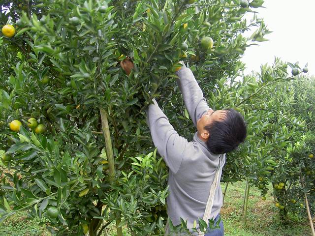 PICT1242.JPG