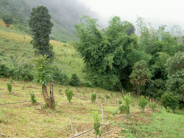 PICT1264.JPG