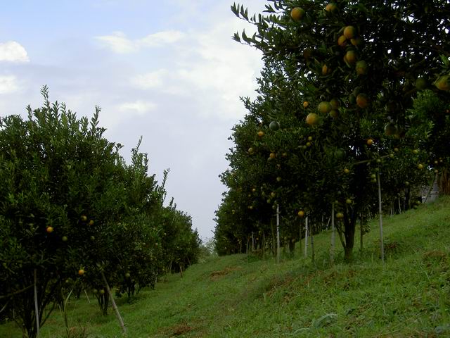 PICT1265.JPG