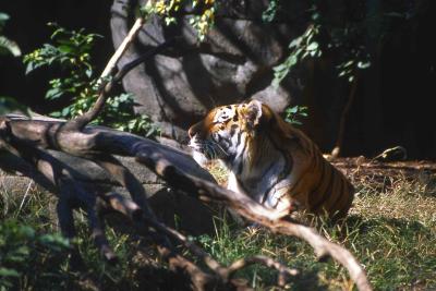 Indianapolis ZOO