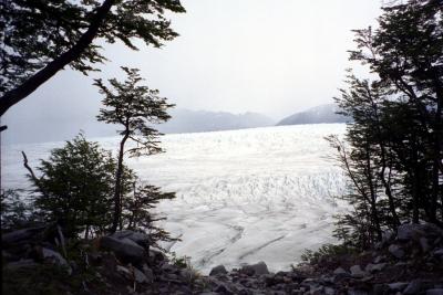 290.jpg