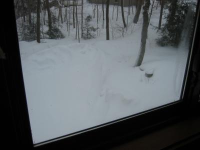 From the window