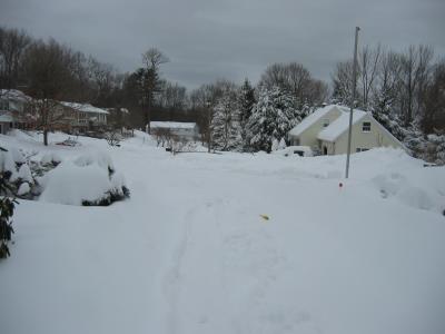 Down the driveway