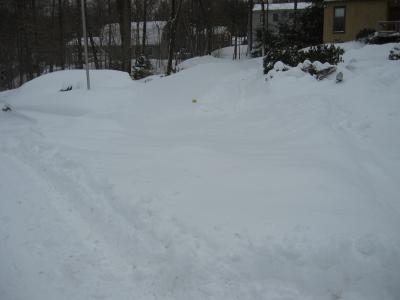 Before the plow