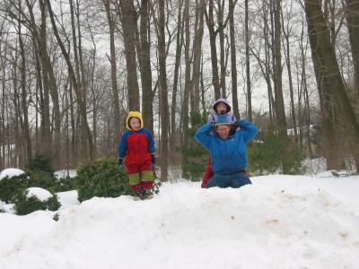 101-0182_IMG.JPG