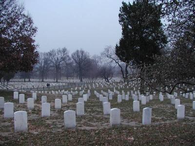 Row On Row - Arlington Cemetery