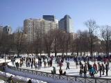 The Skate - Boston Commons