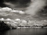 Epcot Landscape infrared