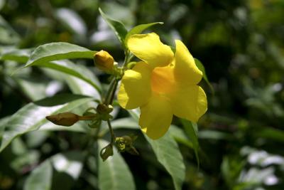 IMG_1681.jpg