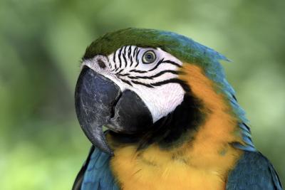IMG_2033.jpg