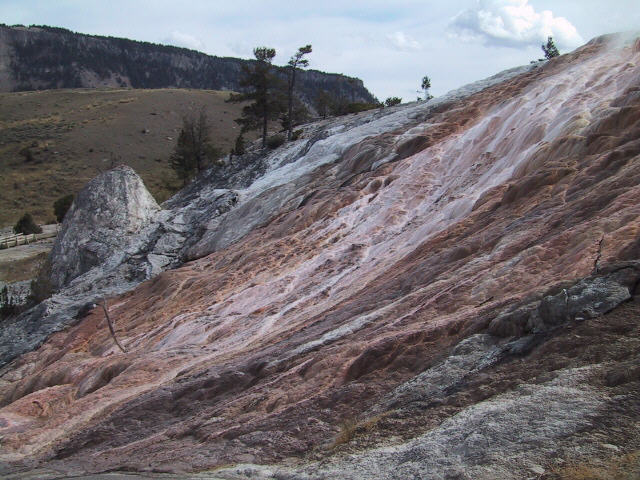 Mammoth Terraces