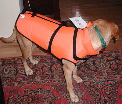 Boat Coat.jpg