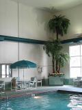 The indoor pool was warm and comfortable