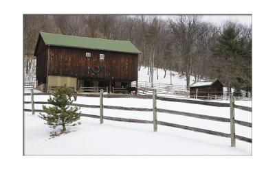 This farmer forgot to take down his holiday decorations.