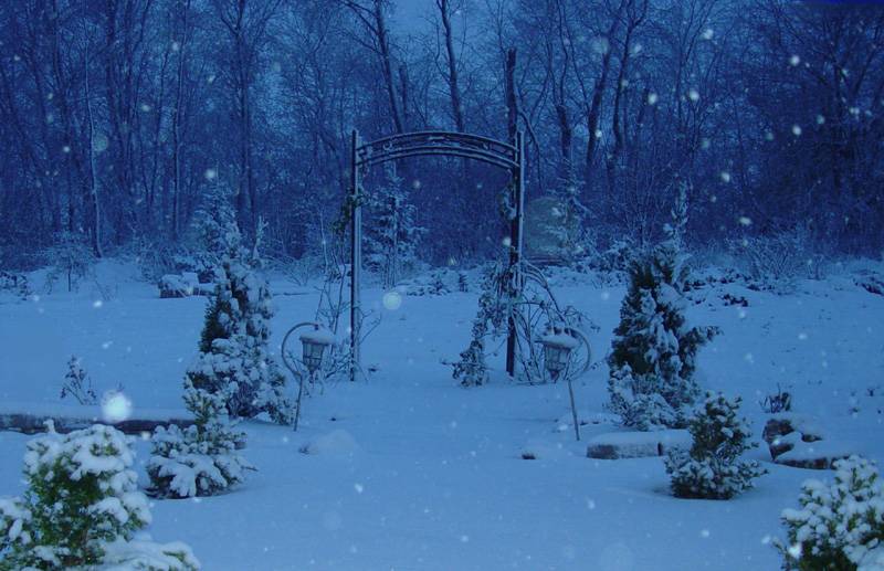 November 24, 2004<br><font size=2><b>L</b>et it snow,<br>Let it snow,<br>Let it snow!</font><br>Day 202