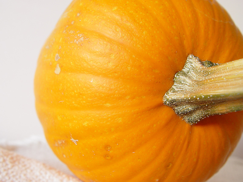 November 28, 2004<br><font size=2><b>P</b> is for <b>P</b>ie <b>P</b>umpkin</font><br>Day 206