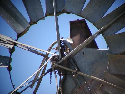 Windmill_UZI+C210_Telephoto.jpg