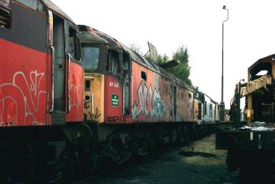 PICT0092.JPG