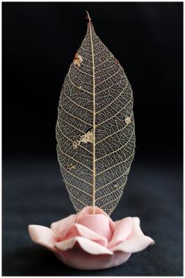 Skeleton-Leaf.jpg