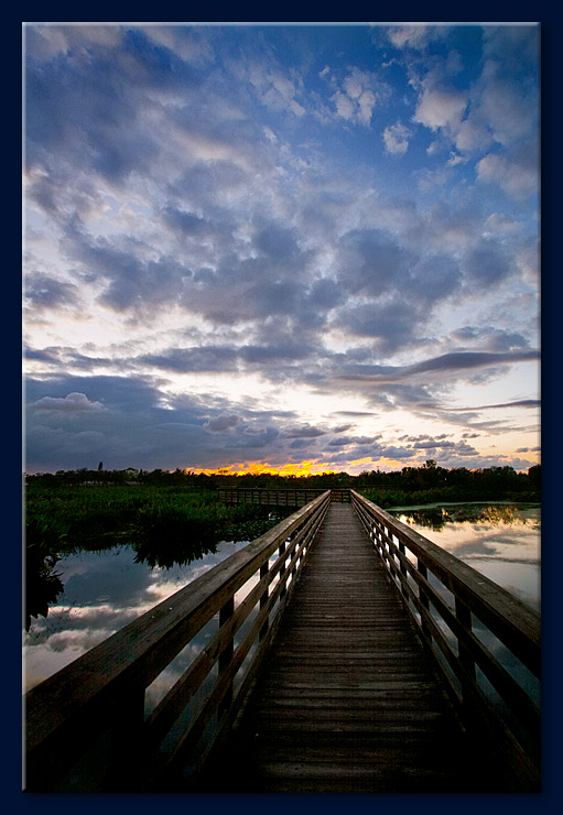 <b>4th Place</b><br><i>...Getting Out There and Finding What The New Day Could Bring<br>by Noel Carboni</i>