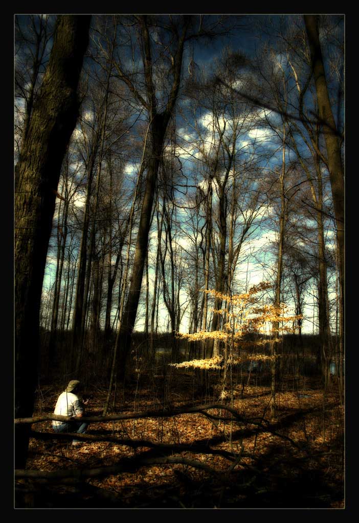 the photographer