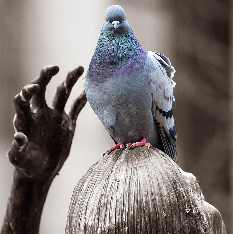 <b>8th Place</b><br><i>heeheehee . . . Catch Me If You Can!*<br>by SisQ/Cindy</i>
