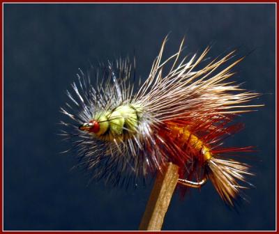 Tying Flies