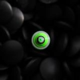Green Hal?<BR>Second Place