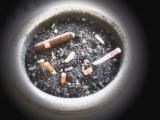 Smokers Delight