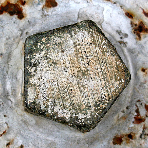 Fire Hydrant
