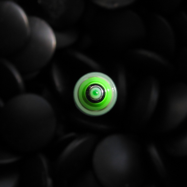 Green Hal?<BR>Second Place
