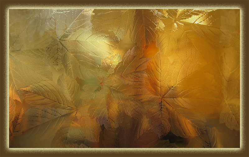 Shimmering Leaves