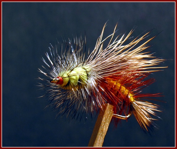 Tying Flies